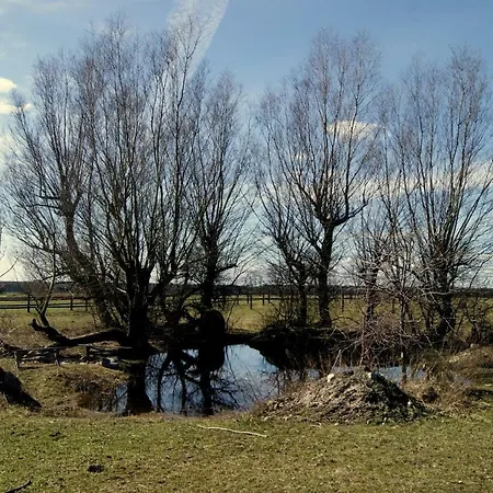 Agroturystyka Stajnia Rusinowo Farm stay *