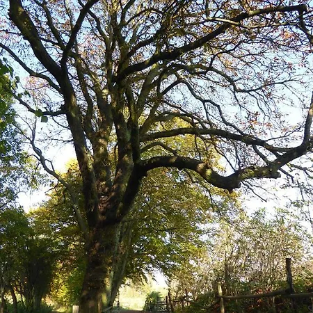 Agroturystyka Stajnia Rusinowo Farma *