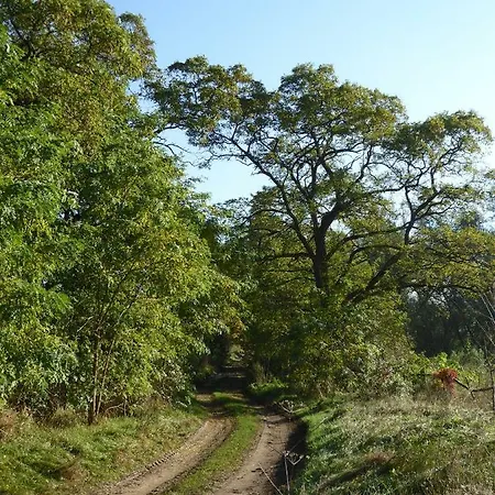 Agroturystyka Stajnia Rusinowo Farma