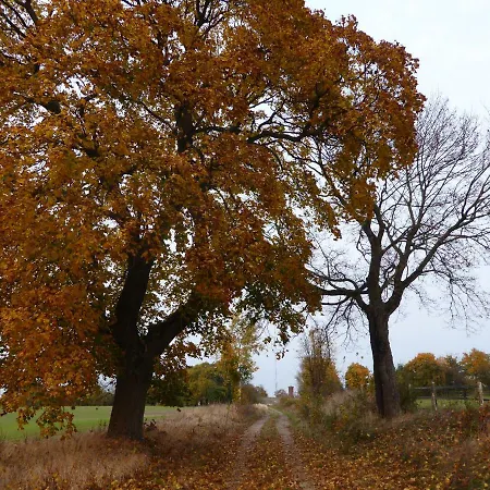 Farma Agroturystyka Stajnia Rusinowo Tuczno (Walcz)