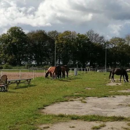 Agroturystyka Stajnia Rusinowo * Tuczno (Walcz)